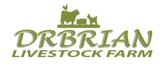 DrBrian Livestock Farm